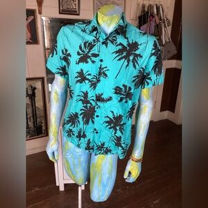 Vatpave black palm tree